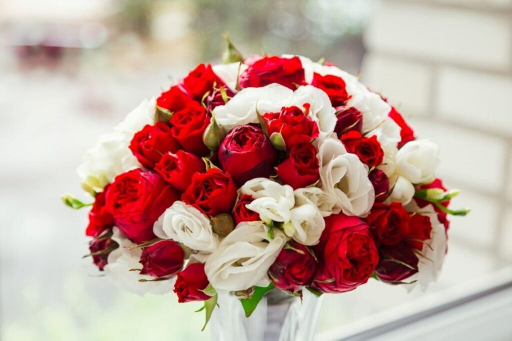 flowers Balgowlah Heights
