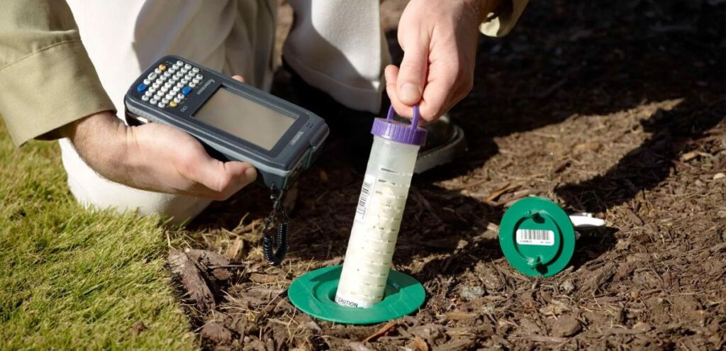 Top 5 Signs You Need Home Termite Control Immediately