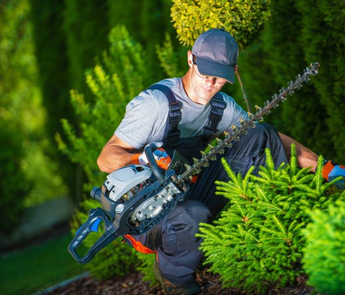 Tree Trimming Service