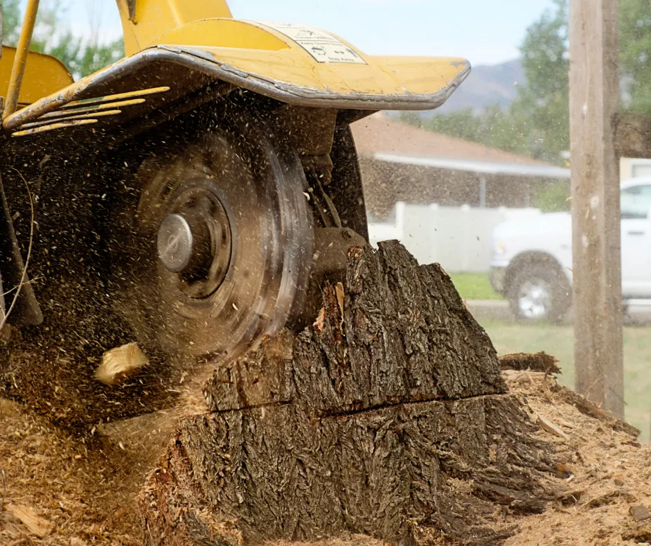 Stump Removal