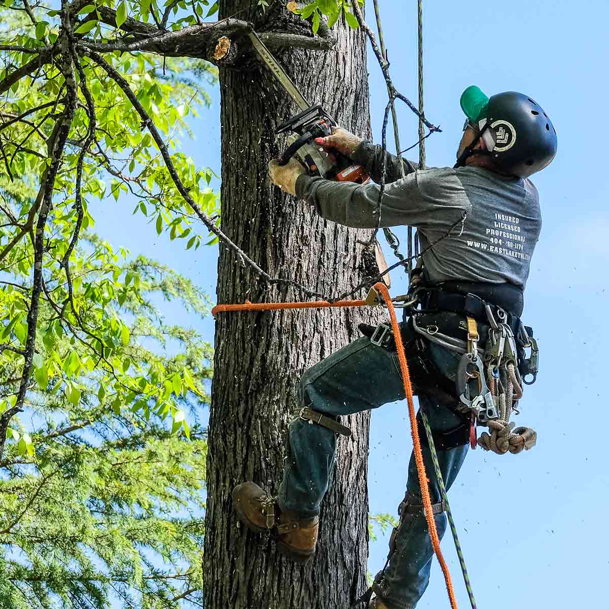 Arborists